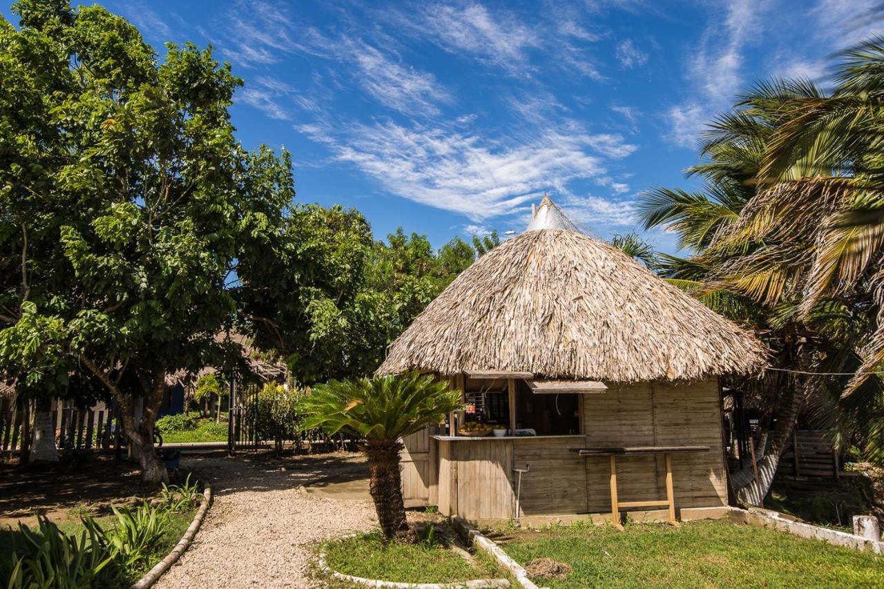 Punta Palmeras Hotel Necoclí Buitenkant foto